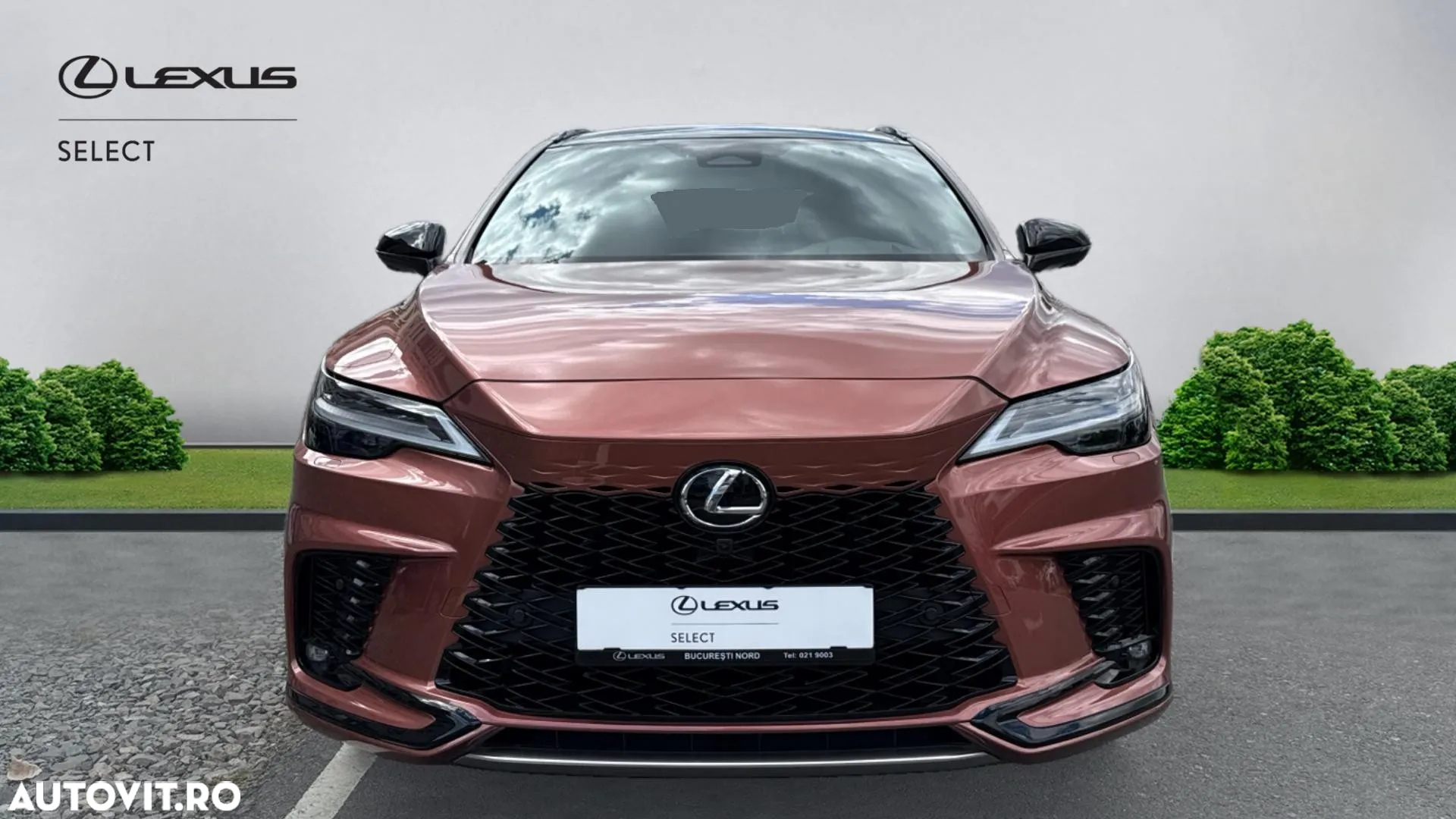 Lexus Seria RX - 3