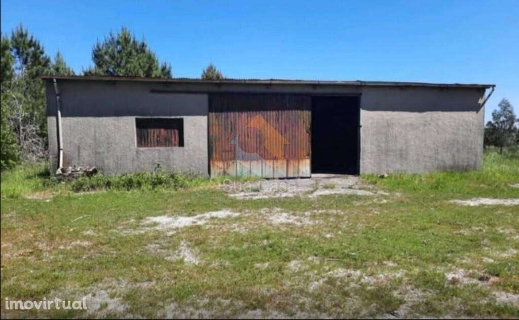 Venda Armazém - Grande imagem: 2/8