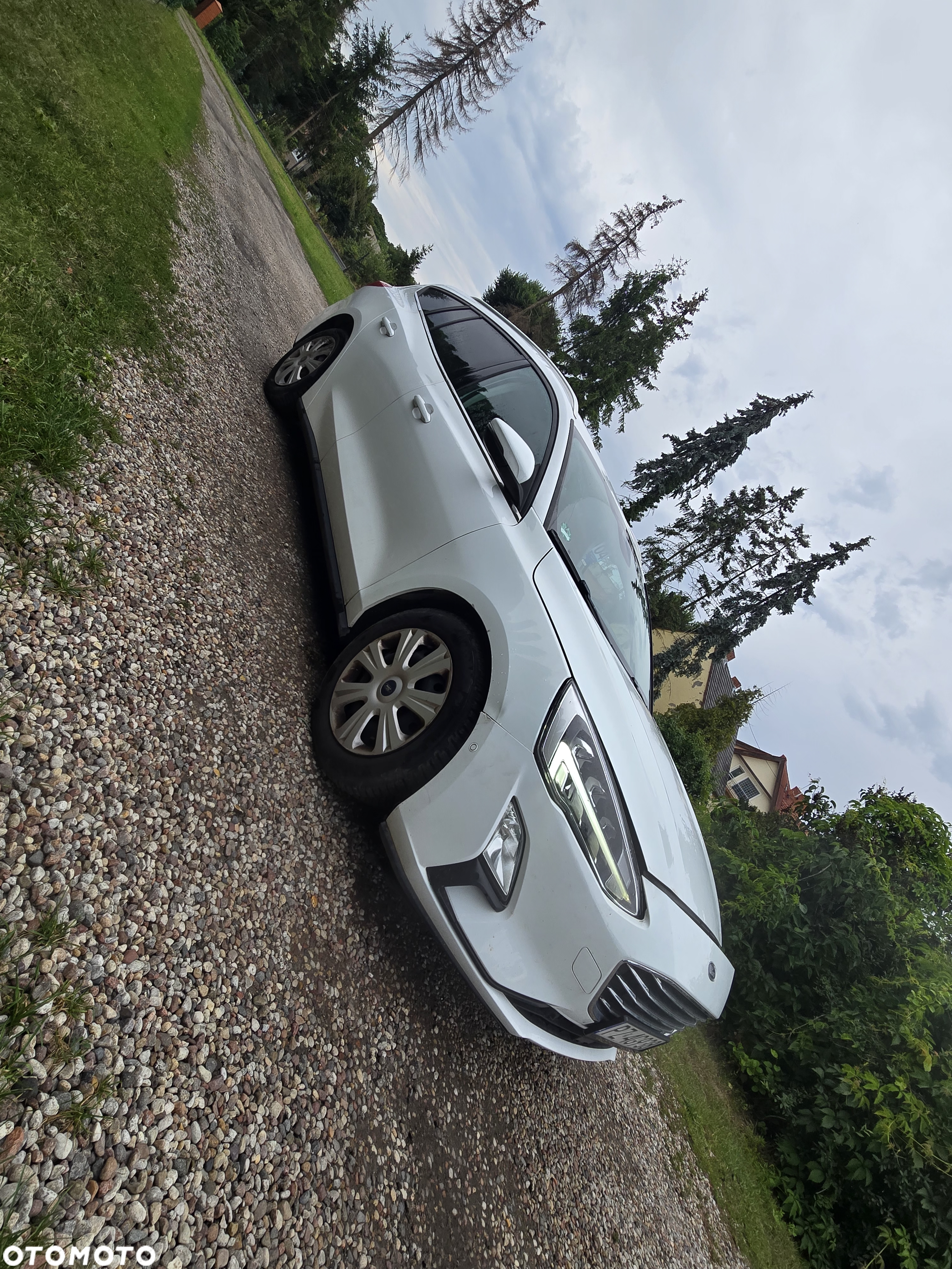 Ford Focus - 5
