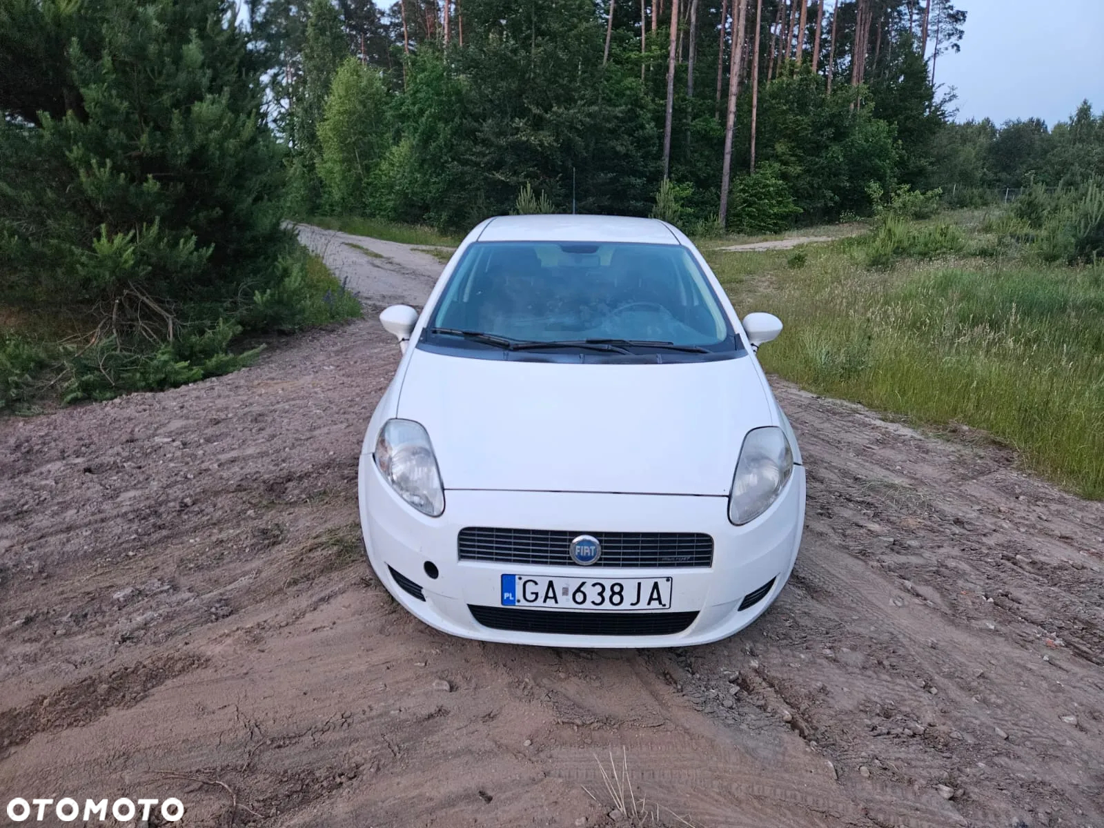 Fiat Punto 1.3 JTD Active - 2
