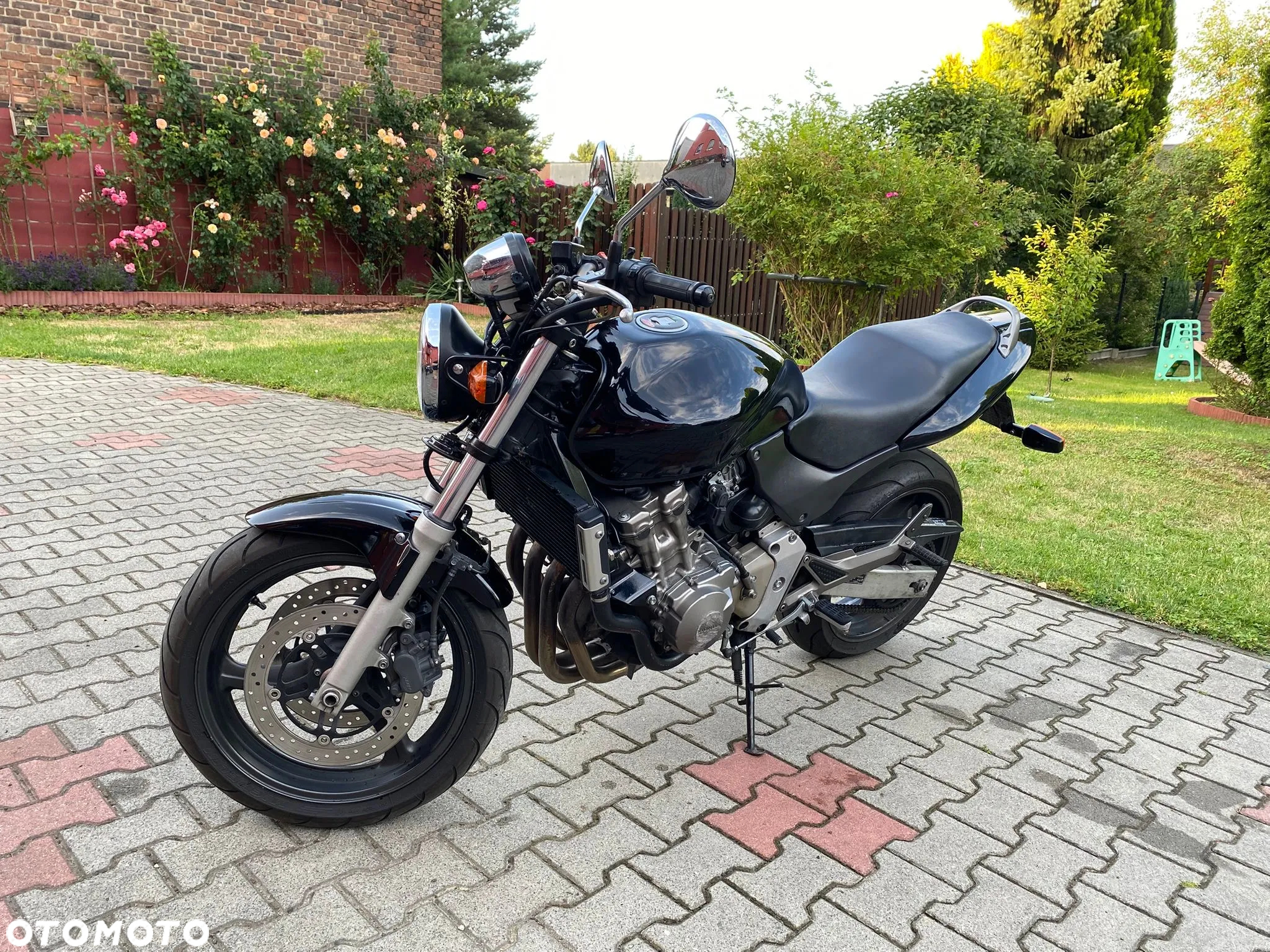 Honda Hornet - 5