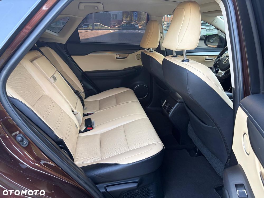 Lexus NX 300h Elite AWD - 14
