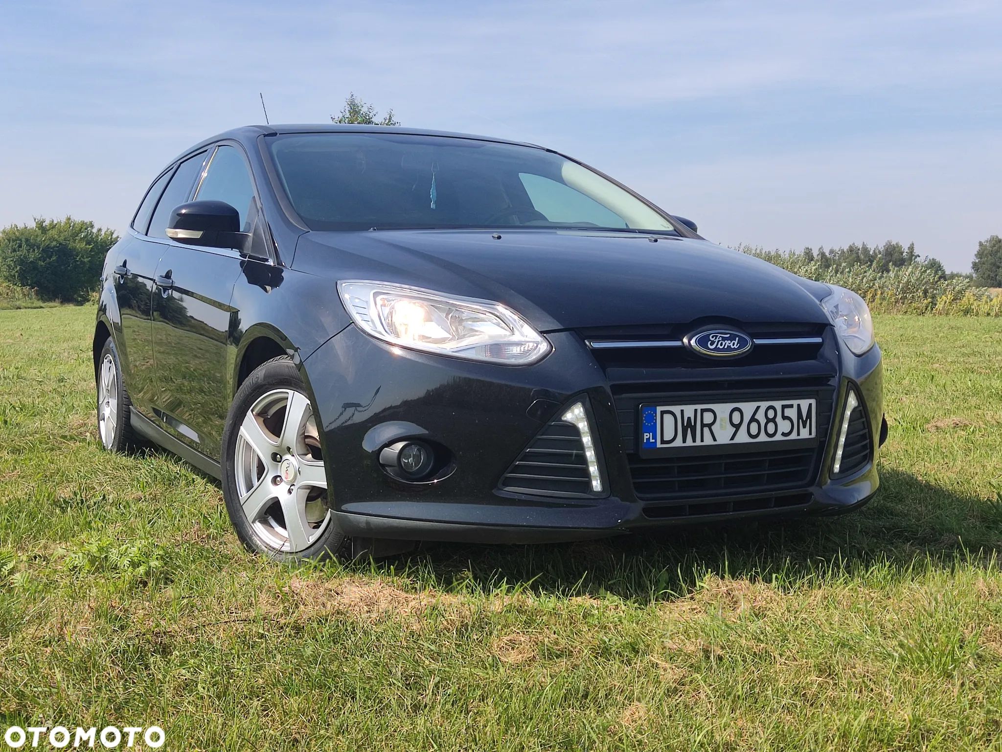 Ford Focus - 1