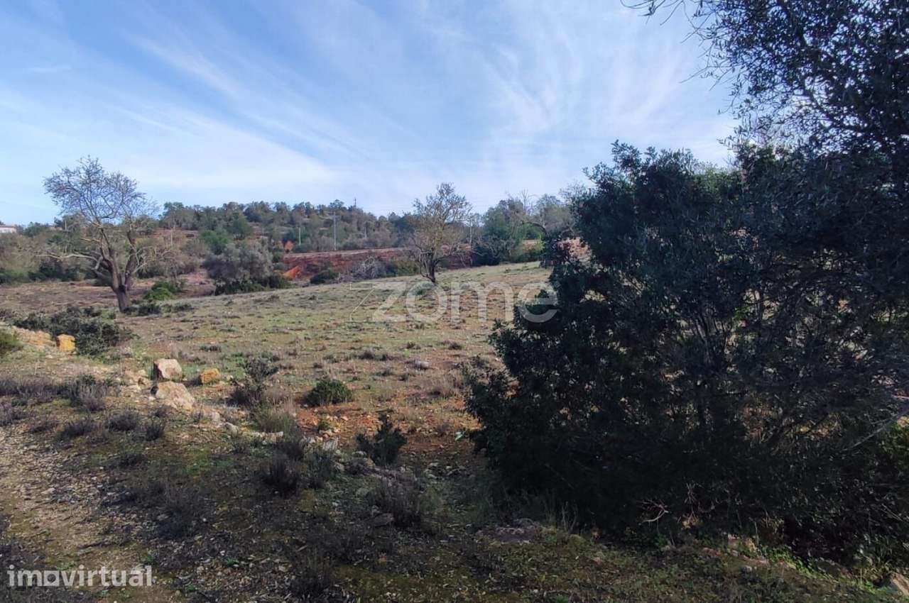 Terreno Rústico – Tunes, Silves | 1.480 m² - Grande imagem: 3/17