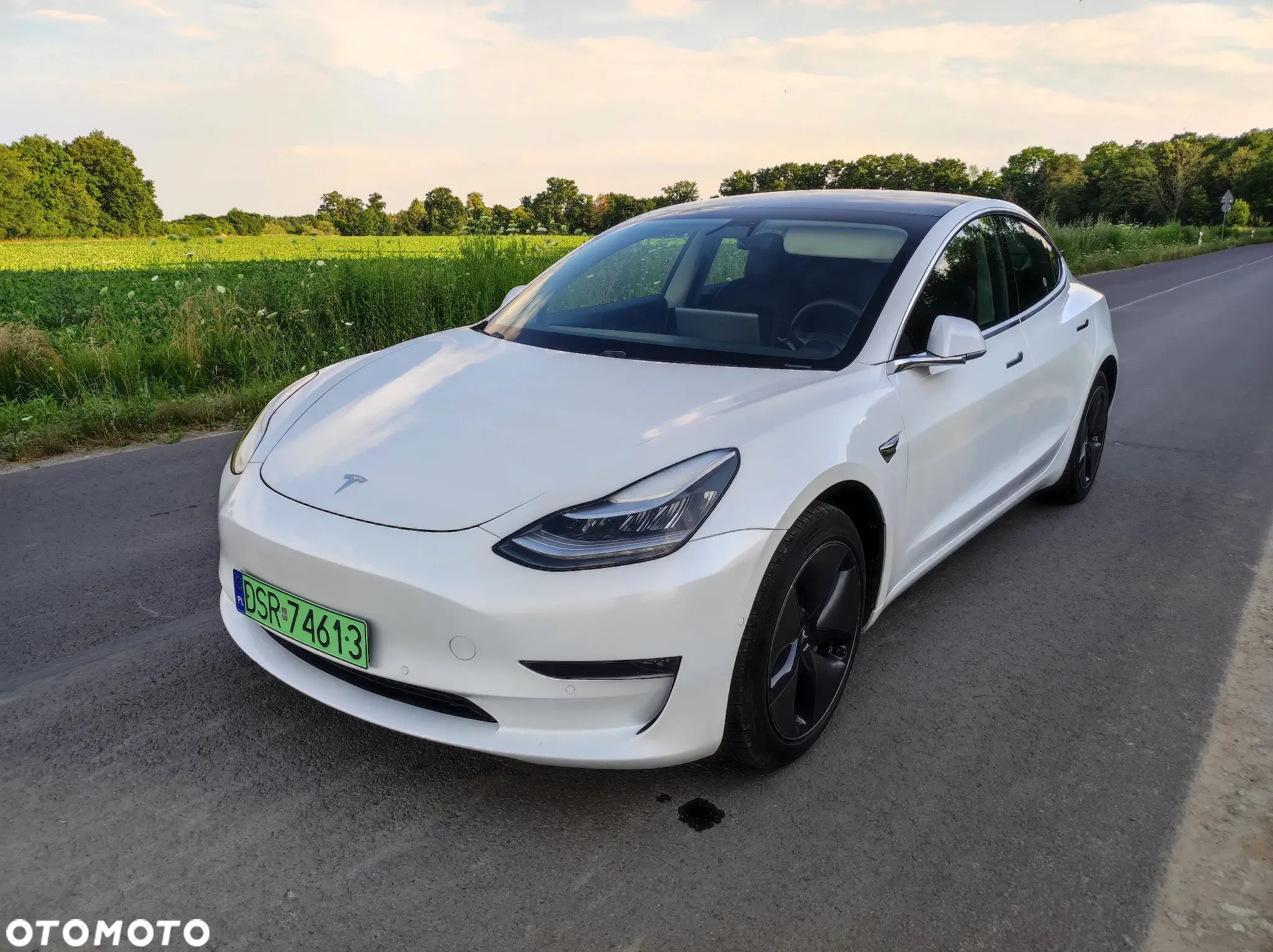 Tesla Model 3 Allradantrieb Dual Motor - 7