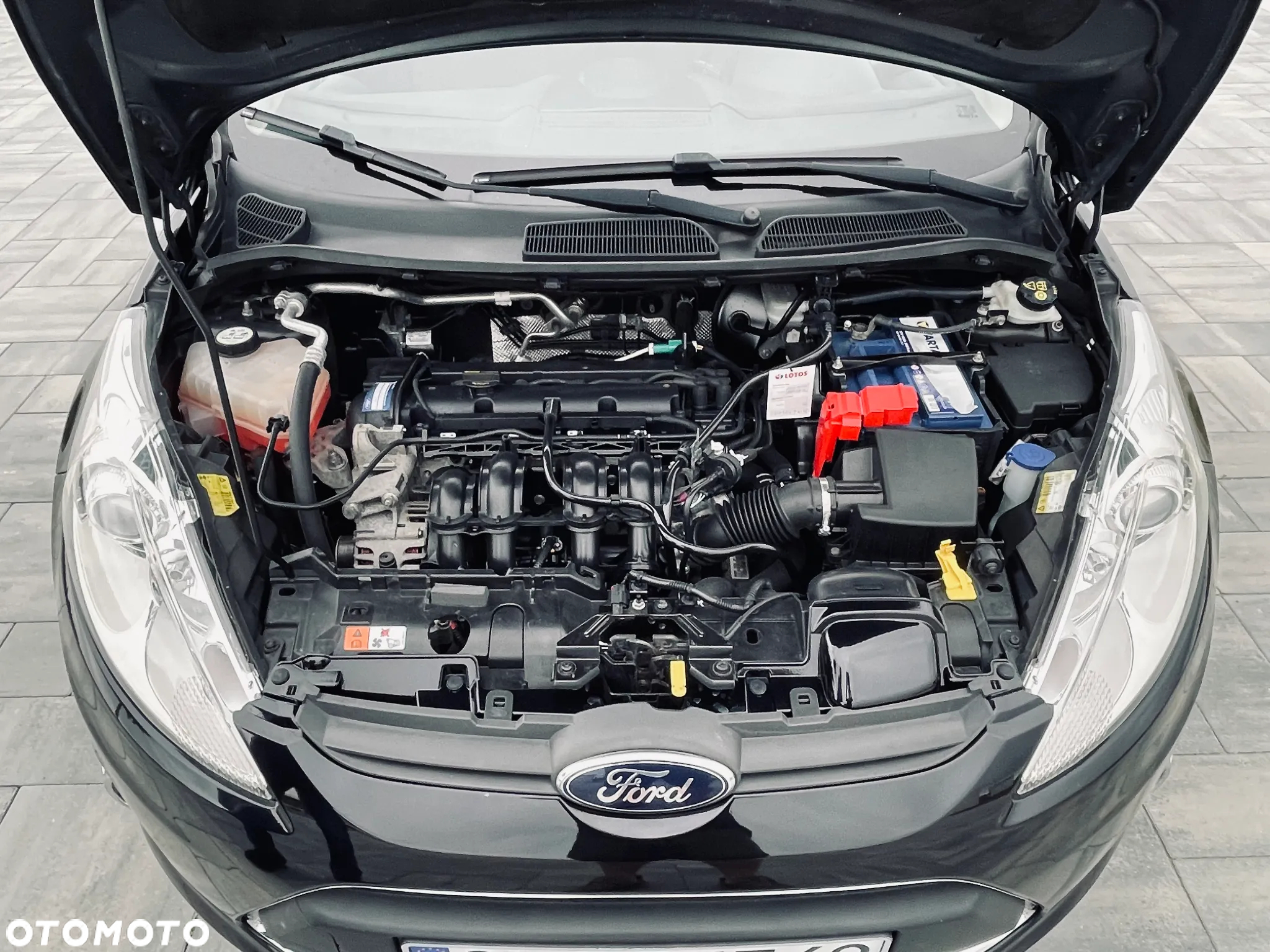 Ford Fiesta 1.25 Champions Edition - 11