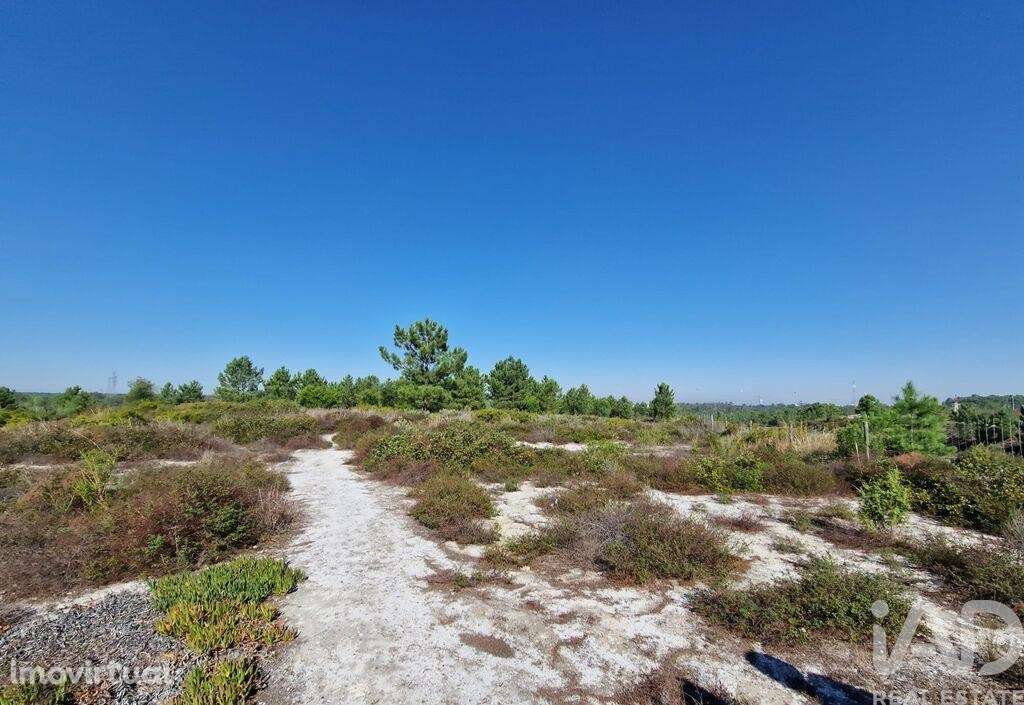 Terreno para construção em Fernão Ferro de 146179,00 m2 - Grande imagem: 4/26