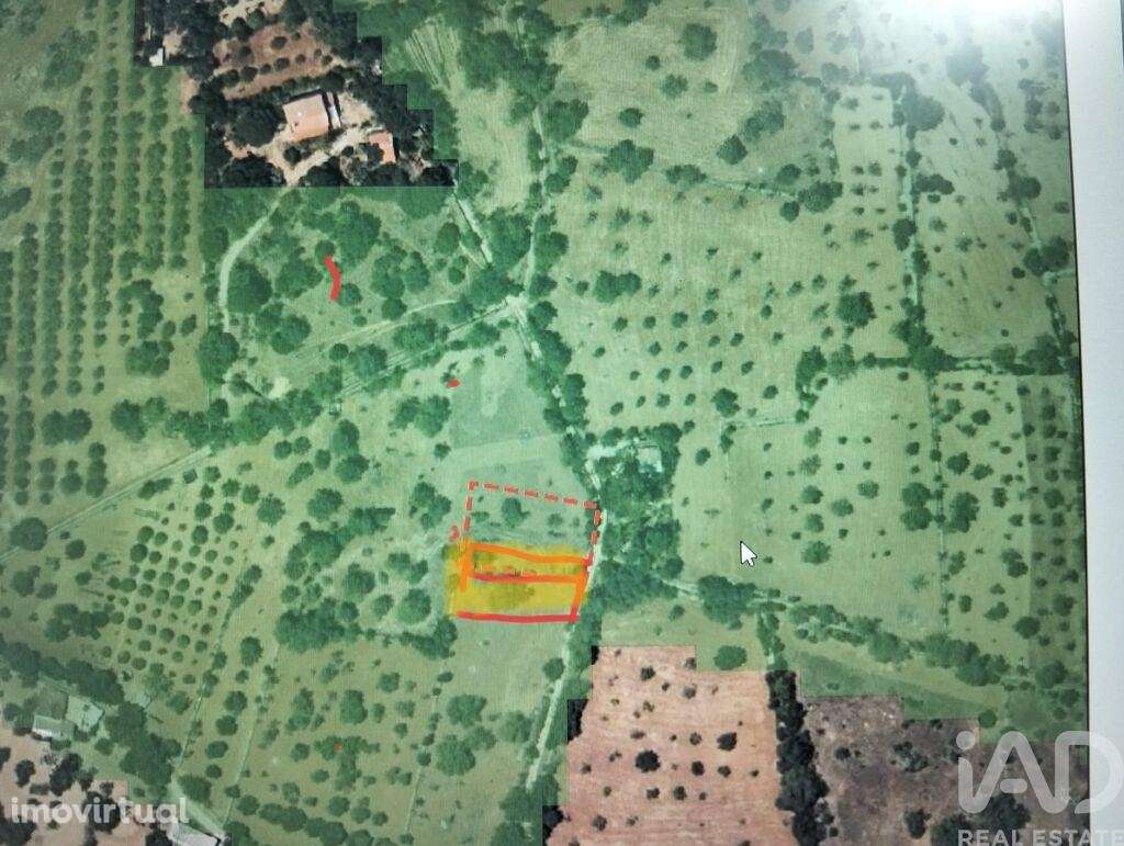 Terreno Agrícola em São Brás de Alportel - Grande imagem: 5/16