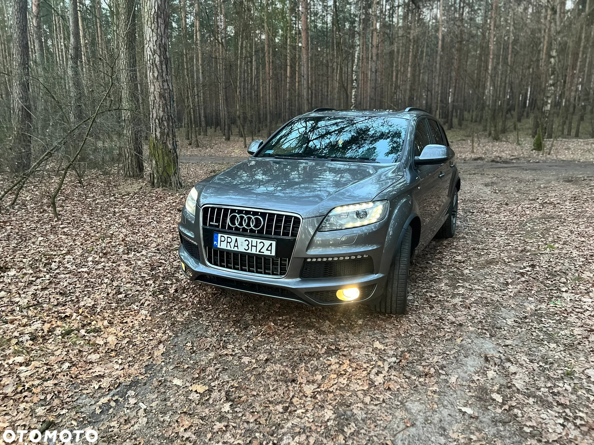 Audi Q7 3.0 TDI DPF Quattro Tiptronic - 2