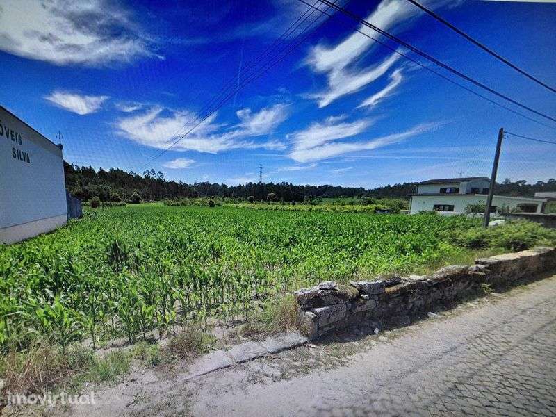 Terreno Urbano em Faria, Barcelos - Grande imagem: 2/3