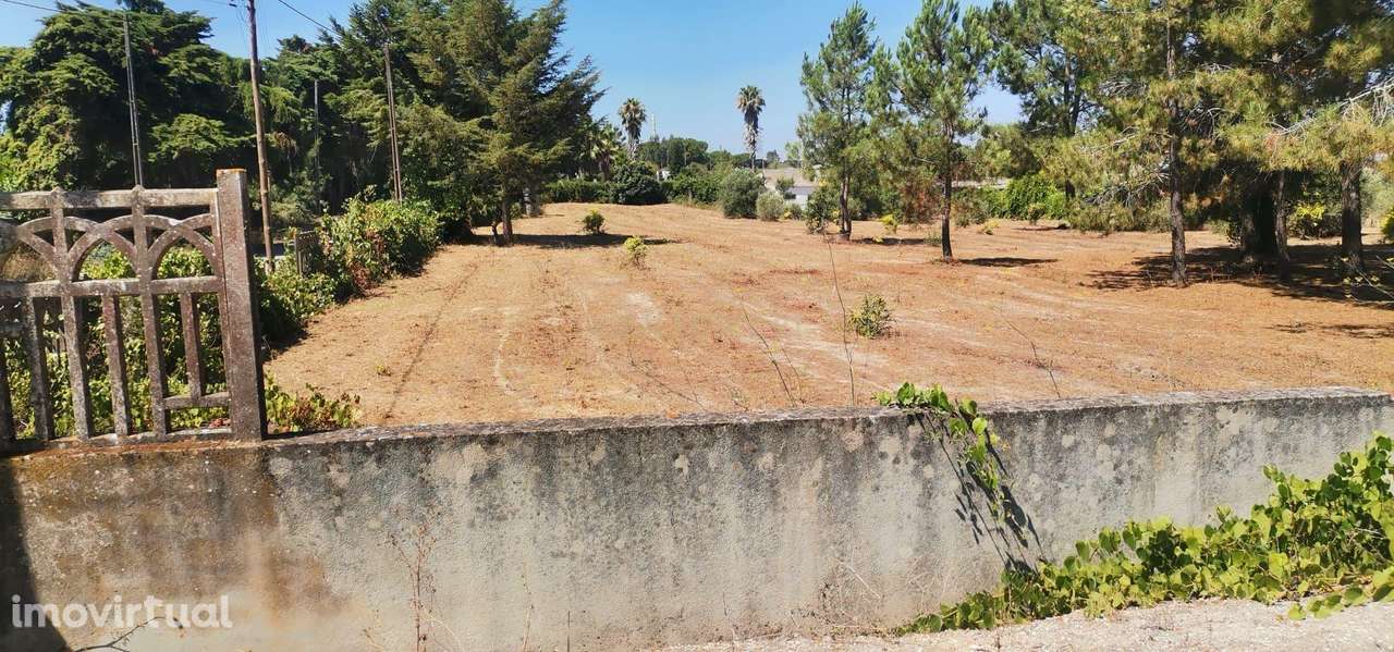 Terreno plano rústico nas Padeiras, Setúbal. - Grande imagem: 2/4