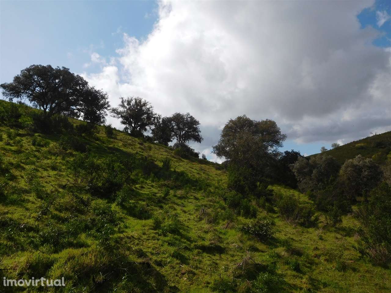 Quinta T1 Venda em Santa Clara-a-Nova e Gomes Aires,Almodôvar - Grande imagem: 4/13