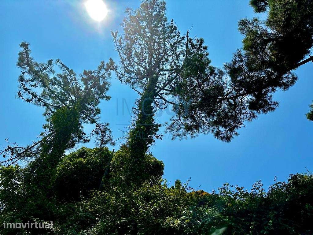 Magnífico Terreno para Construção na Ericeira - Grande imagem: 5/14