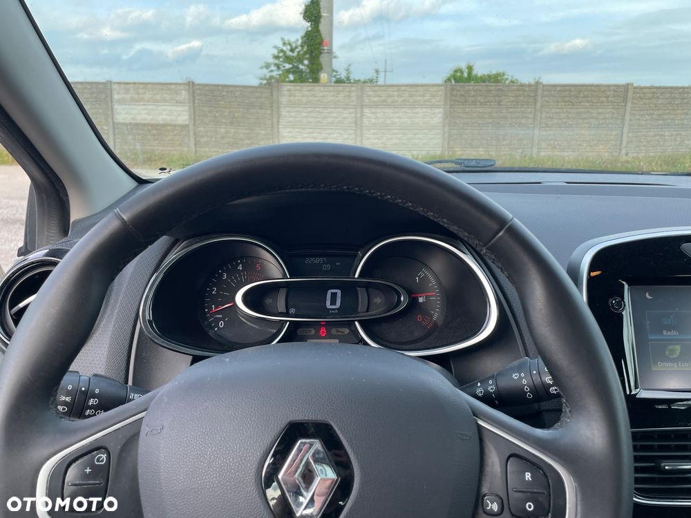 Renault Clio - 13