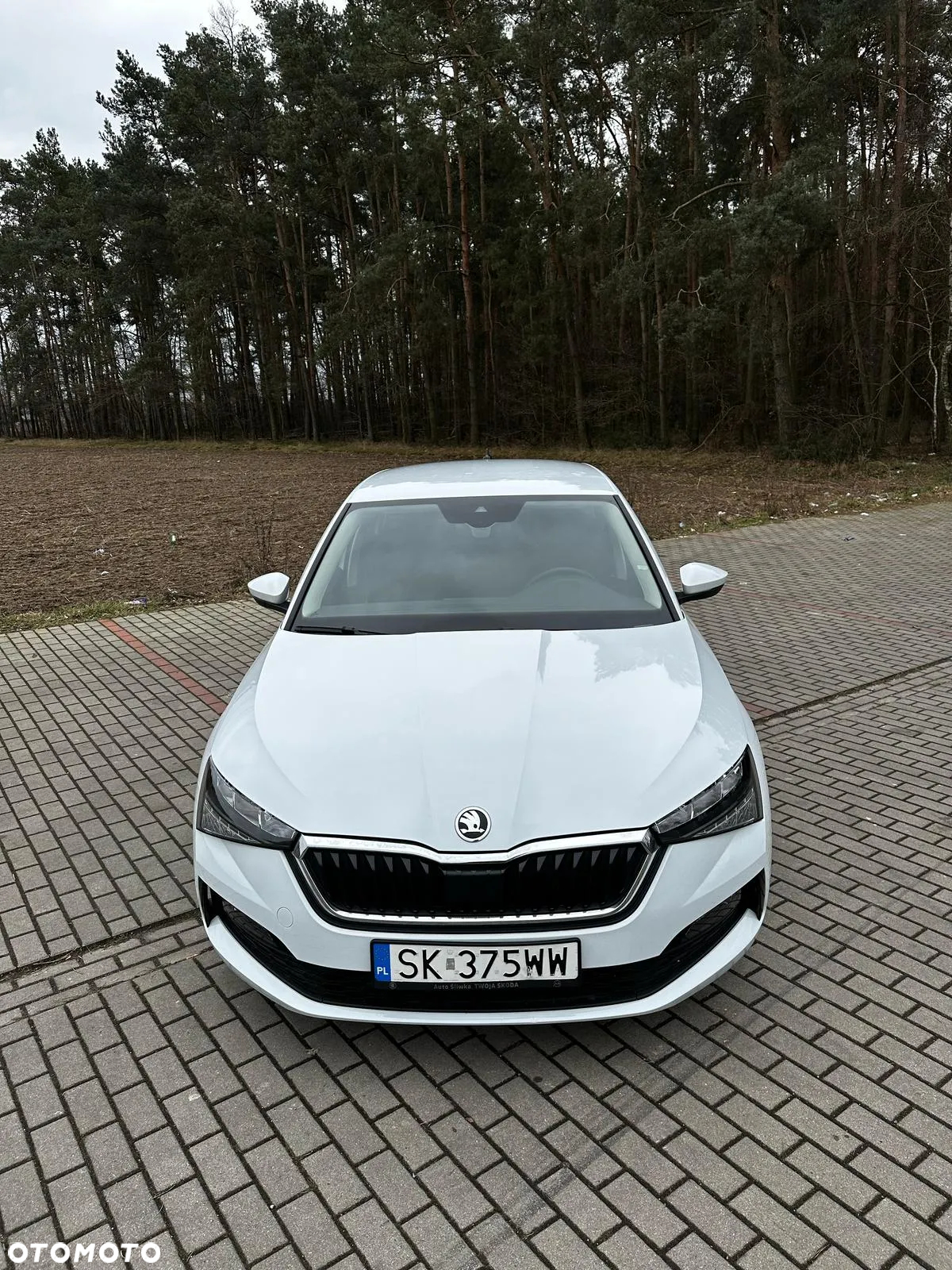 Skoda Scala 1.0 TSI Ambition DSG - 2