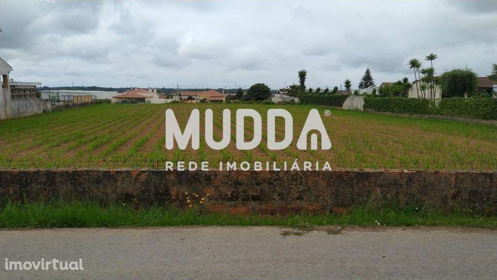 Terreno para construção | Válega - Grande imagem: 2/3