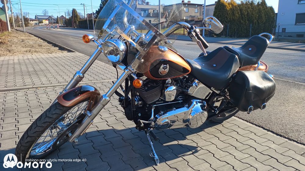 Harley-Davidson Softail Custom - 7