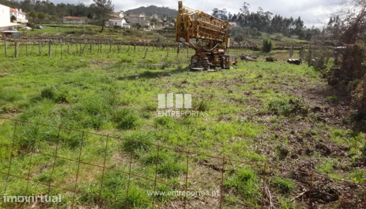 Venda de Terreno, Subportela, Viana do Castelo - Grande imagem: 2/5