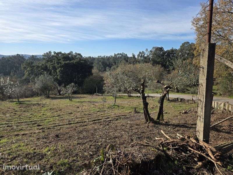 Propriedade Urbana com 8.700m² – Privacidade Total - Grande imagem: 3/4