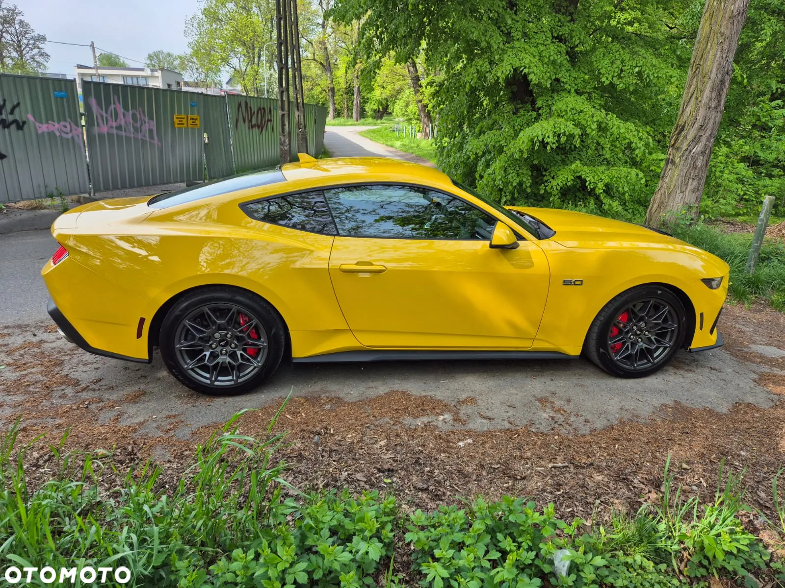 Ford Mustang Fastback 5.0 Ti-VCT V8 GT - 21