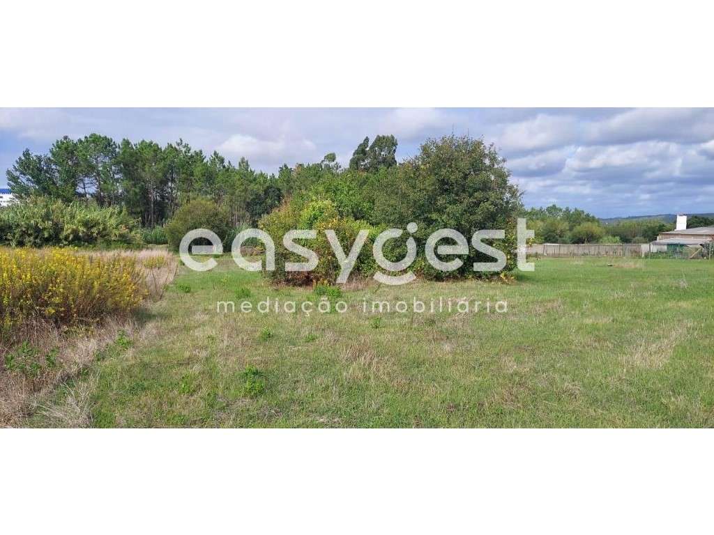 Terreno 3500m2 plano com poço sito em Amor, a poucos kM de Leiria - Grande imagem: 4/13