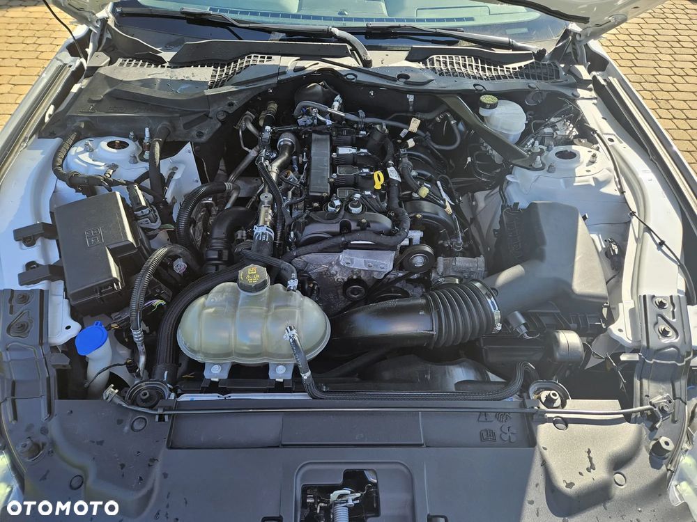 Ford Mustang 2.3 EcoBoost - 12