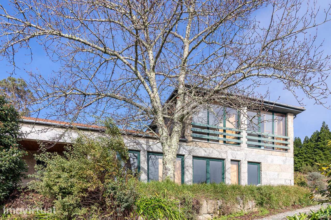 Quinta Baião, 40min Porto, Vinha VITIS, 4 Casas, 12ha - Grande imagem: 4/26