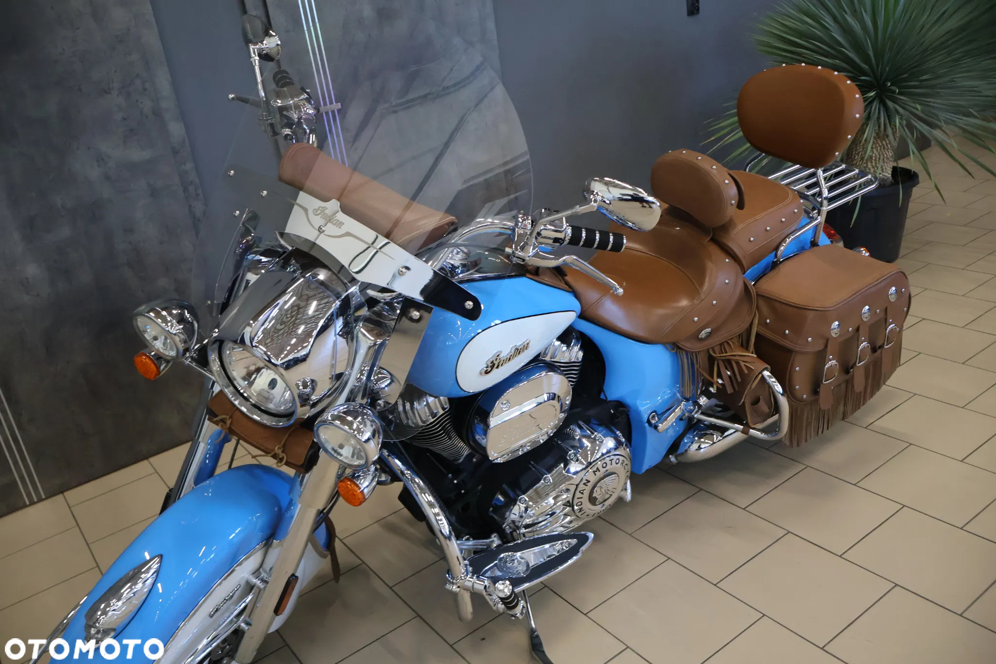 Indian Chief - 23