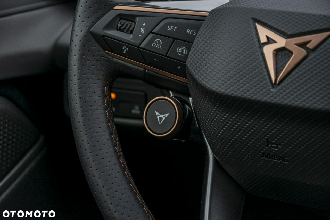 Cupra Terramar - 17