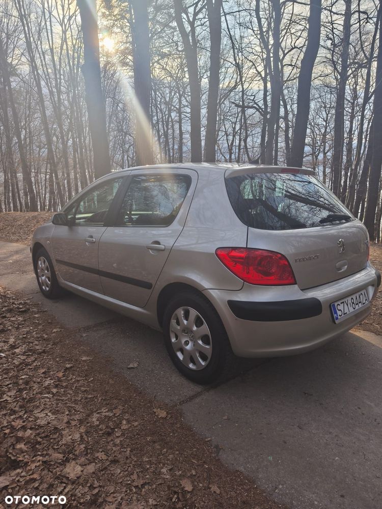 Peugeot 307 - 8