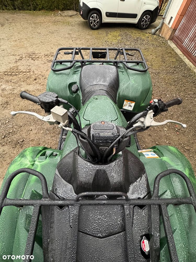 Yamaha Grizzly - 8