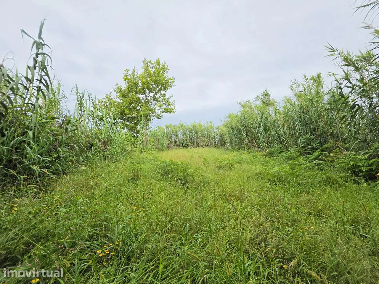 Terreno Rustico com 1.460 m² nos Remédios – Ponta Delgada - Grande imagem: 2/11