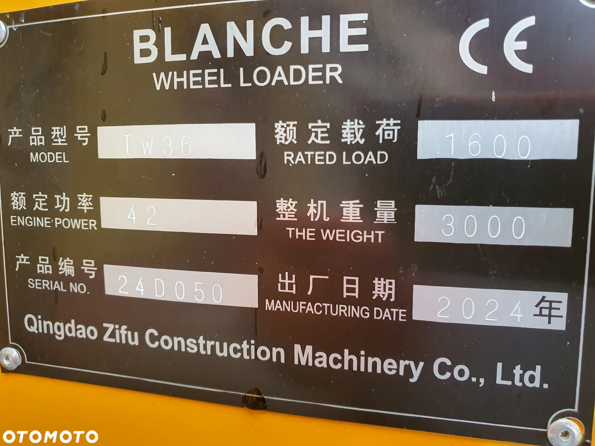 BV Blanche - 10