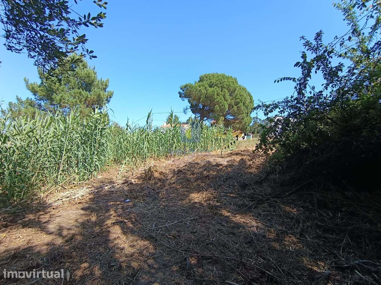 Terreno com 550m2 em Salir do Porto, com possibilidade de construir um - Grande imagem: 3/9