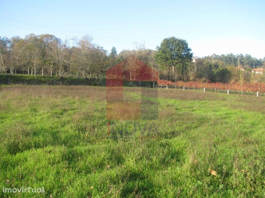 Terreno agrícola em Fiscal, Amares - Grande imagem: 3/12