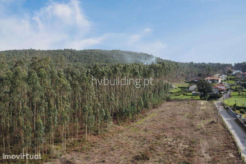 Terreno com potencial de investimento em Igreja Nova, Barcelos - Grande imagem: 3/7