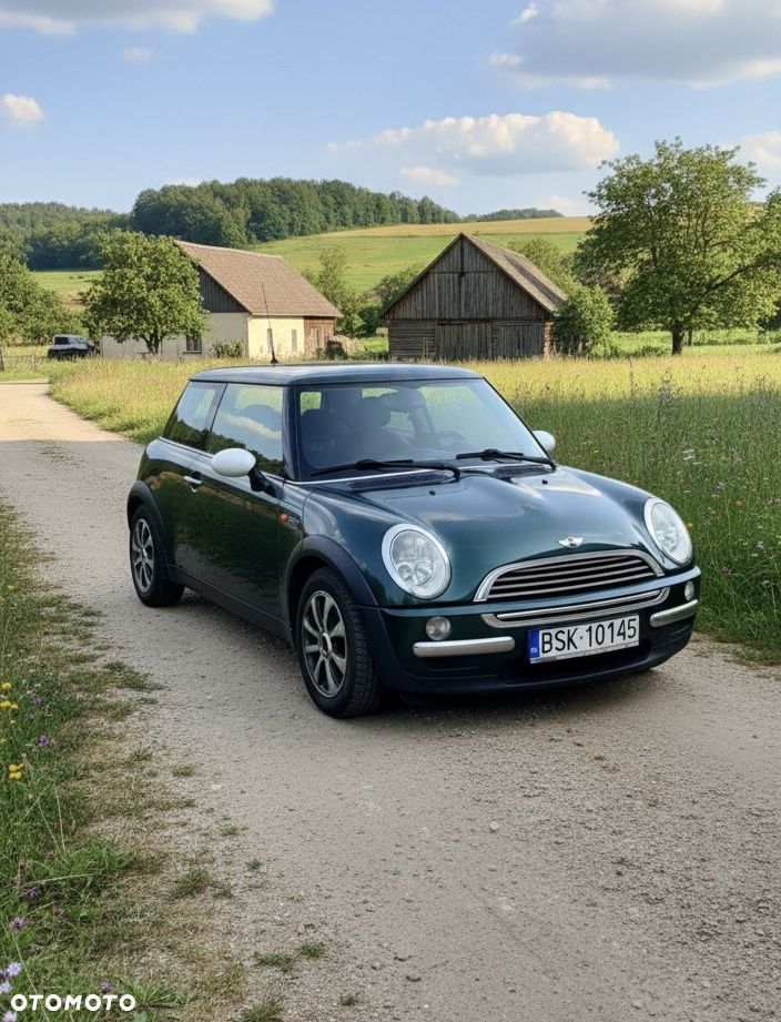 MINI ONE Standard - 1