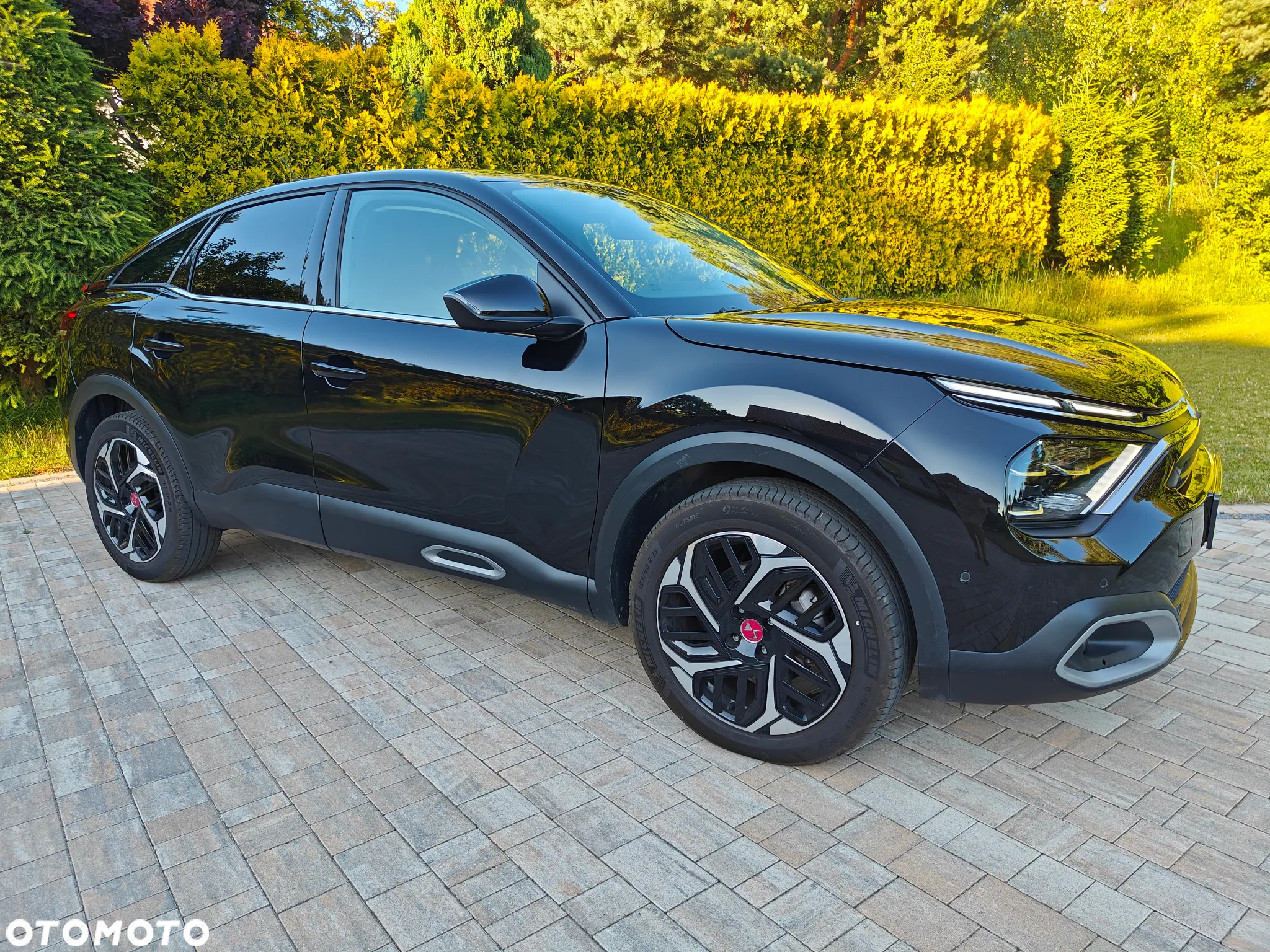 Citroën C4 BlueHDi 130 Stop&Start EAT8 SHINE - 6