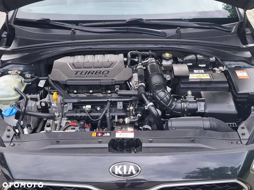 Kia ProCeed 1.5 T-GDI DCT7 OPF GT LINE - 31