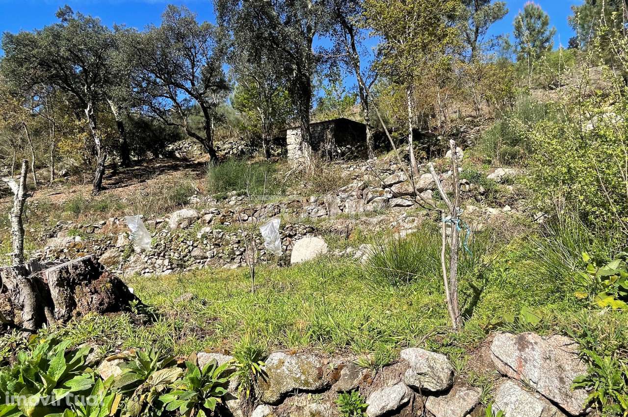 Terreno rústico em S. Jorge Arcos de Valdevez - Grande imagem: 2/13