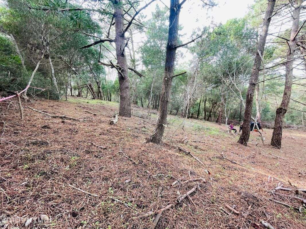 Terreno  para venda - Grande imagem: 4/6
