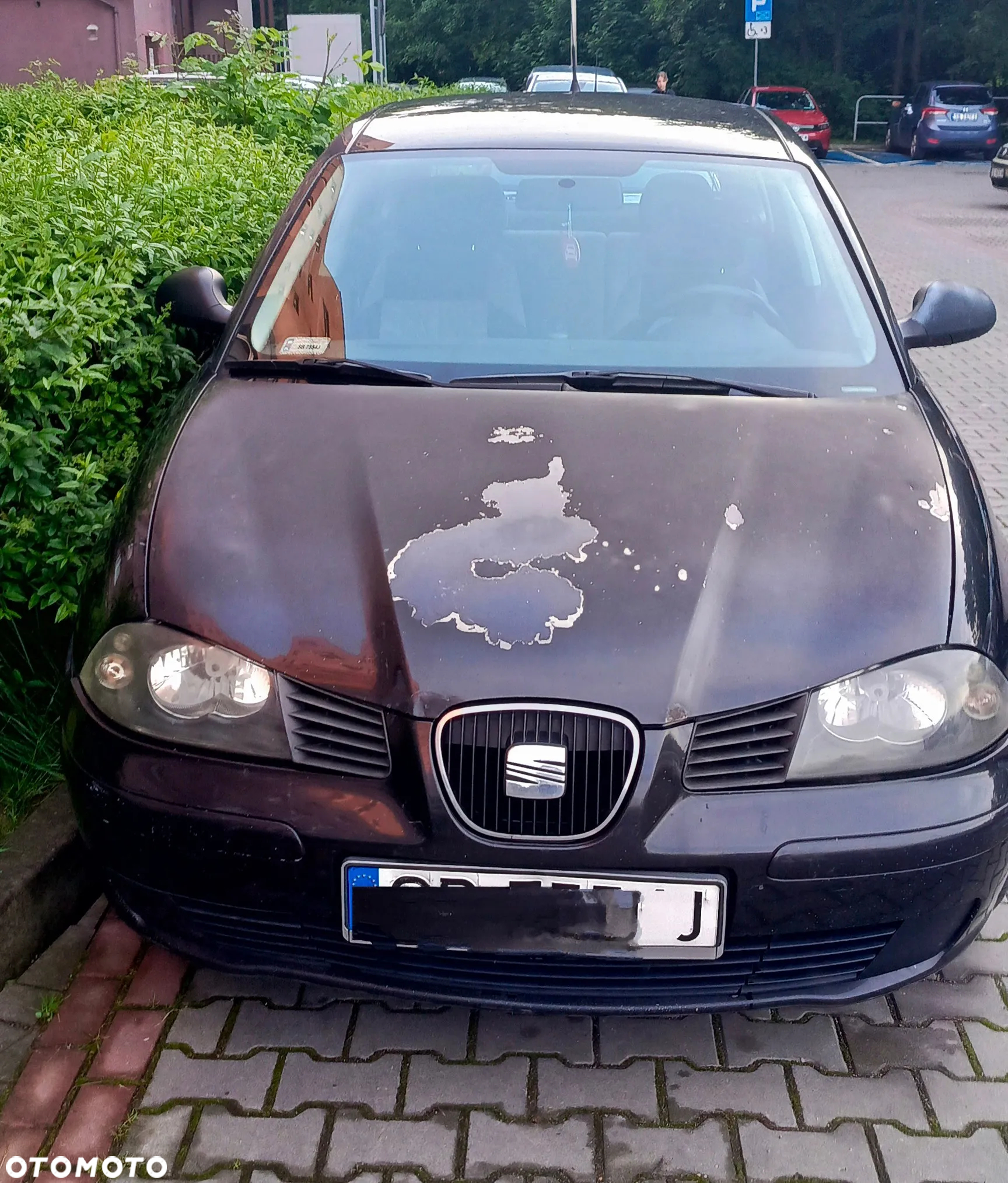 Seat Ibiza 1.2 12V Stella - 4