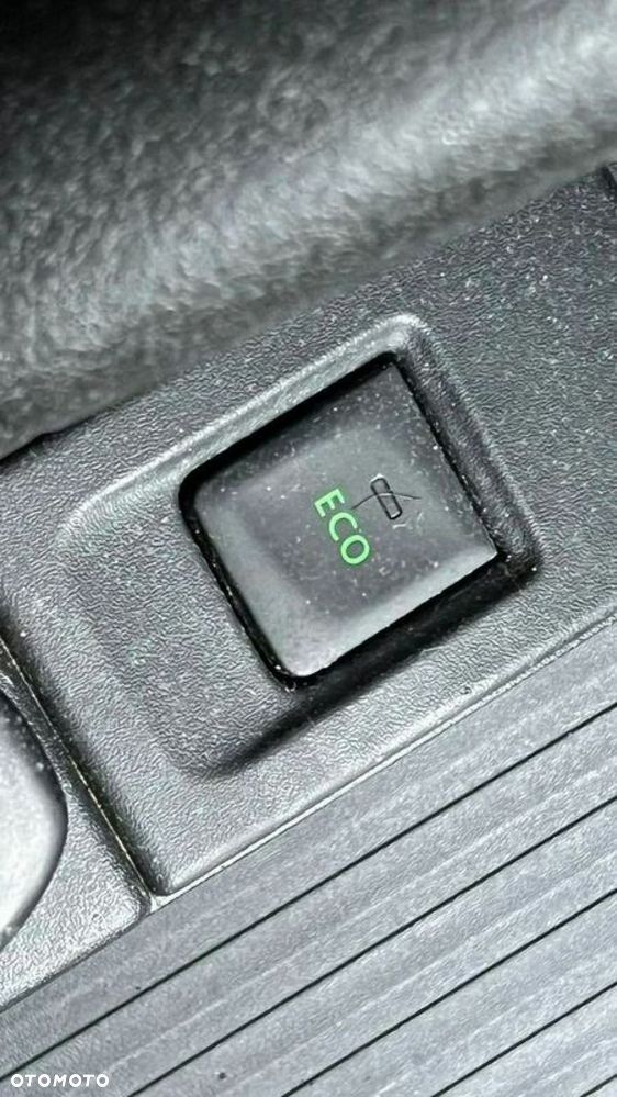 Renault Kangoo - 29