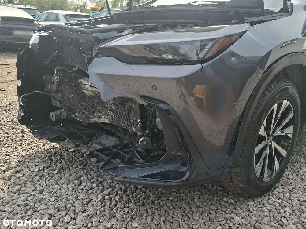 Lexus NX - 10