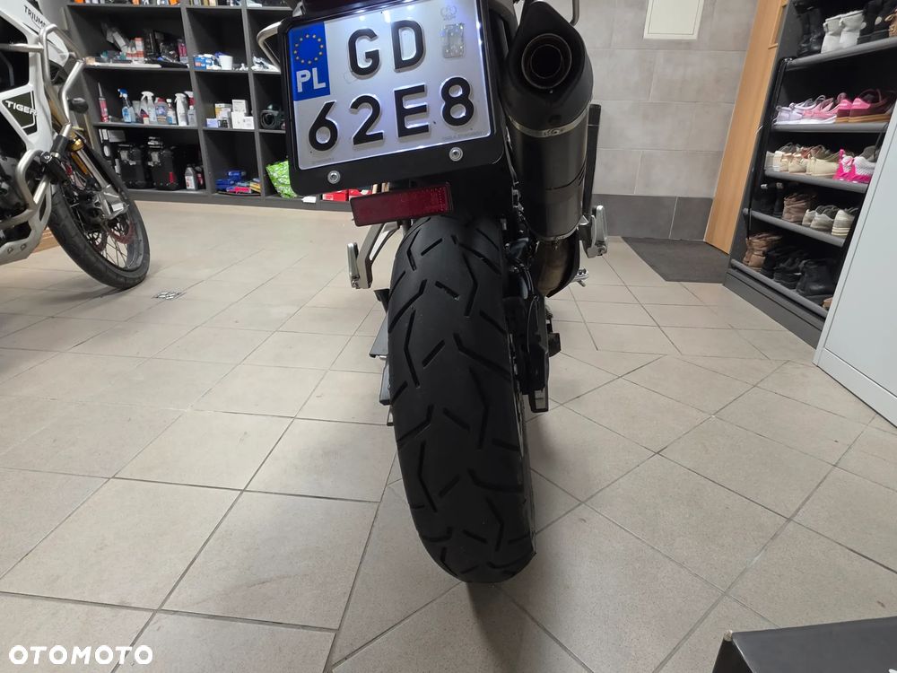 Triumph Tiger - 9