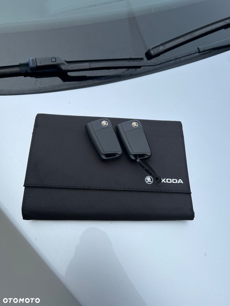 Skoda RAPID - 19