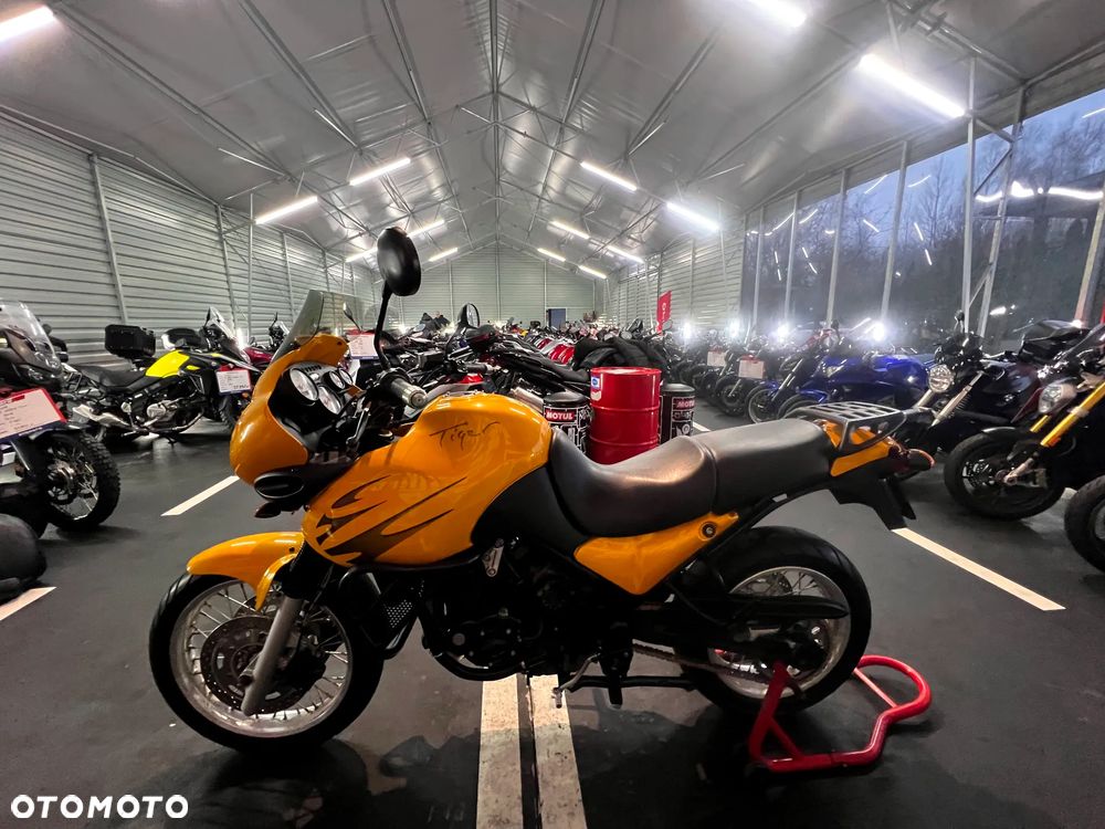 Triumph Tiger - 16