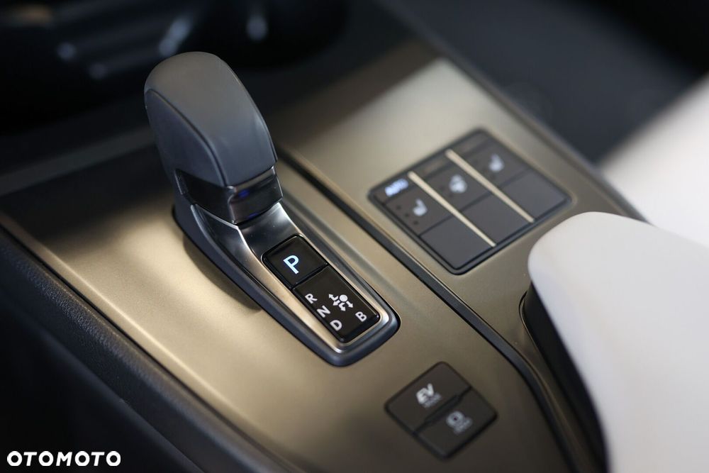Lexus UX 300h F Sport Design - 35