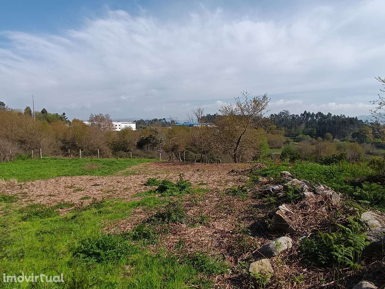 Terreno – Oliveira de Frades - Grande imagem: 4/12