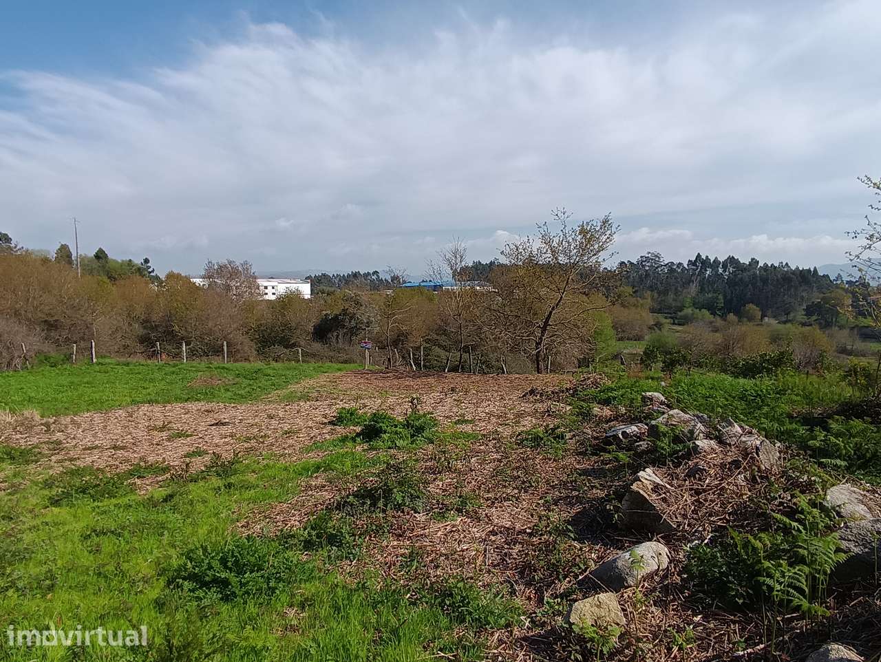 Terreno – Oliveira de Frades - Grande imagem: 4/12